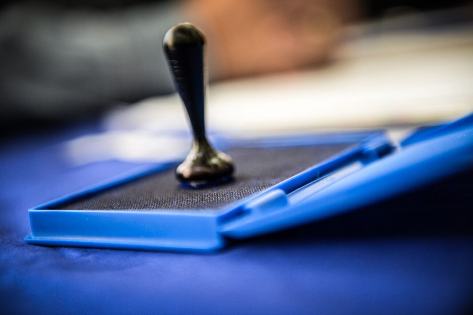 Coaliţia de guvernare a decis organizarea alegerilor pentru Primăria Capitalei pe 7 decembrie