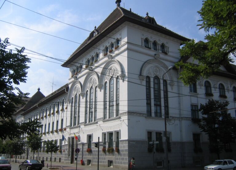 Primăria Timișoara, ținta hackerilor! Atacul cibernetic a afectat și mai multe instituții subordonate